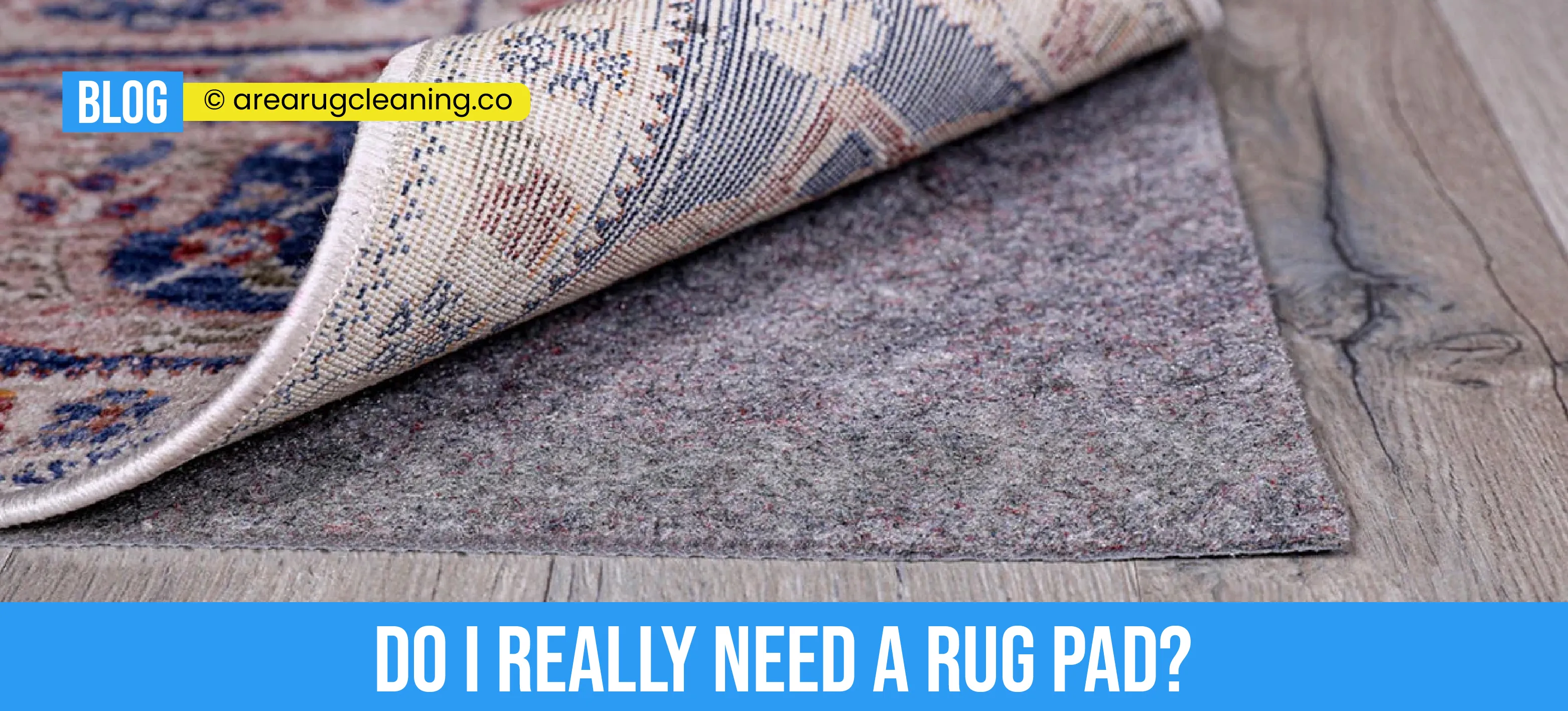 carpet cleaning in new york, carpet cleaning New York, carpet cleaners in New York, commercial carpet cleaning, commercial carpet cleaning in New York, New York rug cleaners, rug cleaning services in New York, same day carpet cleaning, same day rug cleaning, upholstery cleaning services in new york, carpet cleaning services in ny, ny carpet cleaning , rug cleaning ny, upholstery cleaning ny