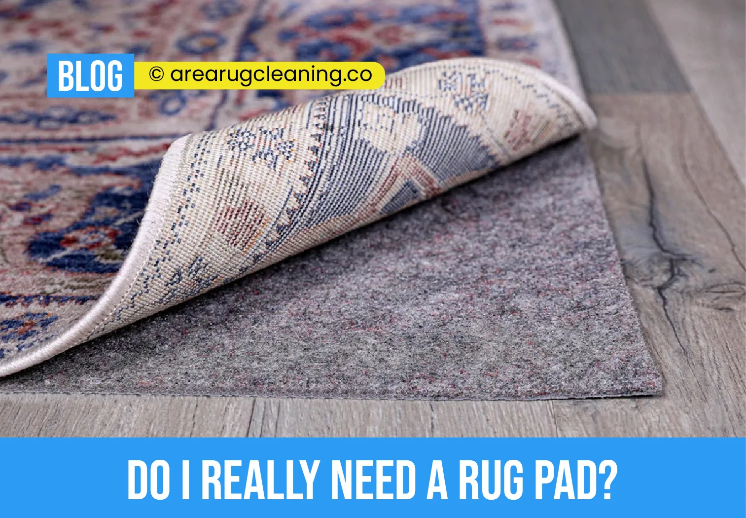 carpet cleaning in new york, carpet cleaning New York, carpet cleaners in New York, commercial carpet cleaning, commercial carpet cleaning in New York, New York rug cleaners, rug cleaning services in New York, same day carpet cleaning, same day rug cleaning, upholstery cleaning services in new york, carpet cleaning services in ny, ny carpet cleaning , rug cleaning ny, upholstery cleaning ny