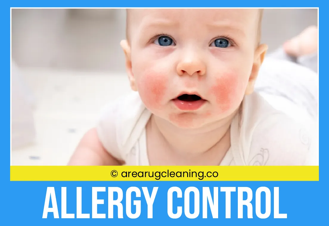 carpet cleaning in new york, carpet cleaning New York, carpet cleaners in New York, commercial carpet cleaning, commercial carpet cleaning in New York, New York rug cleaners, rug cleaning services in New York, same day carpet cleaning, same day rug cleaning, upholstery cleaning services in new york, carpet cleaning services in ny, ny carpet cleaning , rug cleaning ny, upholstery cleaning ny