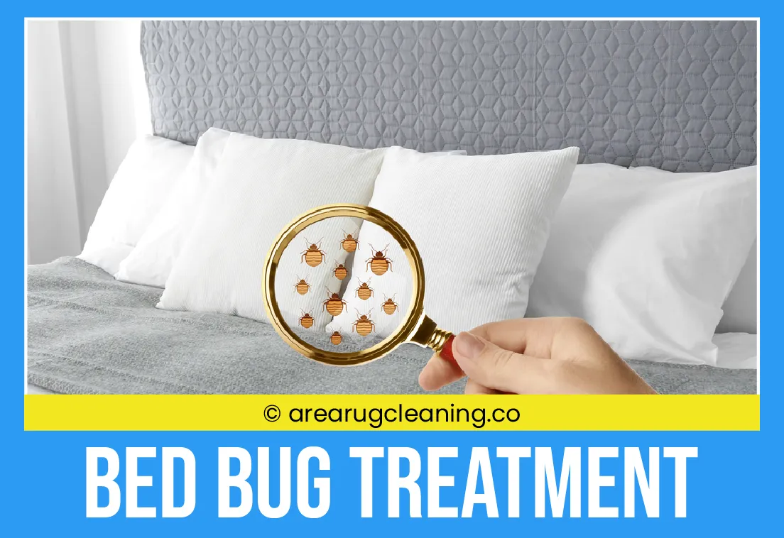 carpet cleaning in new york, carpet cleaning New York, carpet cleaners in New York, commercial carpet cleaning, commercial carpet cleaning in New York, New York rug cleaners, rug cleaning services in New York, same day carpet cleaning, same day rug cleaning, upholstery cleaning services in new york, carpet cleaning services in ny, ny carpet cleaning , rug cleaning ny, upholstery cleaning ny