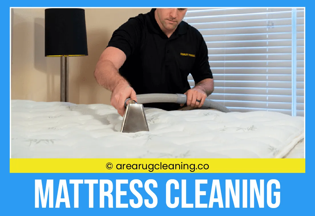 carpet cleaning in new york, carpet cleaning New York, carpet cleaners in New York, commercial carpet cleaning, commercial carpet cleaning in New York, New York rug cleaners, rug cleaning services in New York, same day carpet cleaning, same day rug cleaning, upholstery cleaning services in new york, carpet cleaning services in ny, ny carpet cleaning , rug cleaning ny, upholstery cleaning ny