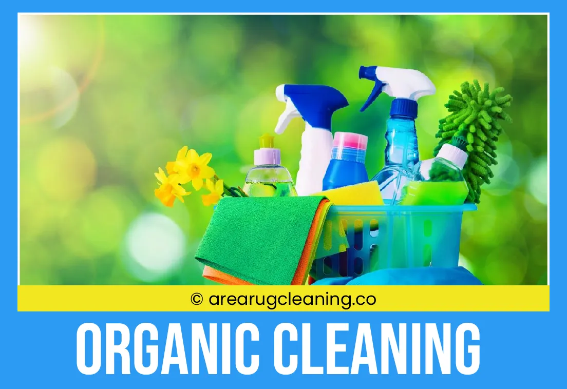 carpet cleaning in new york, carpet cleaning New York, carpet cleaners in New York, commercial carpet cleaning, commercial carpet cleaning in New York, New York rug cleaners, rug cleaning services in New York, same day carpet cleaning, same day rug cleaning, upholstery cleaning services in new york, carpet cleaning services in ny, ny carpet cleaning , rug cleaning ny, upholstery cleaning ny